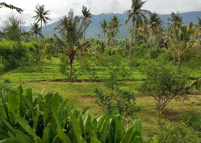 منتجع Buana Ecofarm *